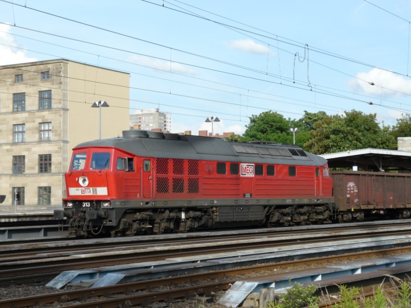 MEG 313 - 232 068-7.jpg